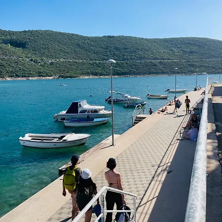 Seasight * Neum