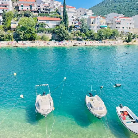 Seasight * Neum